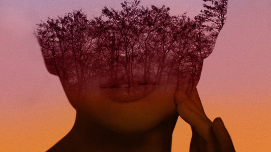 Emprender con alma, un camino de regreso a ti!