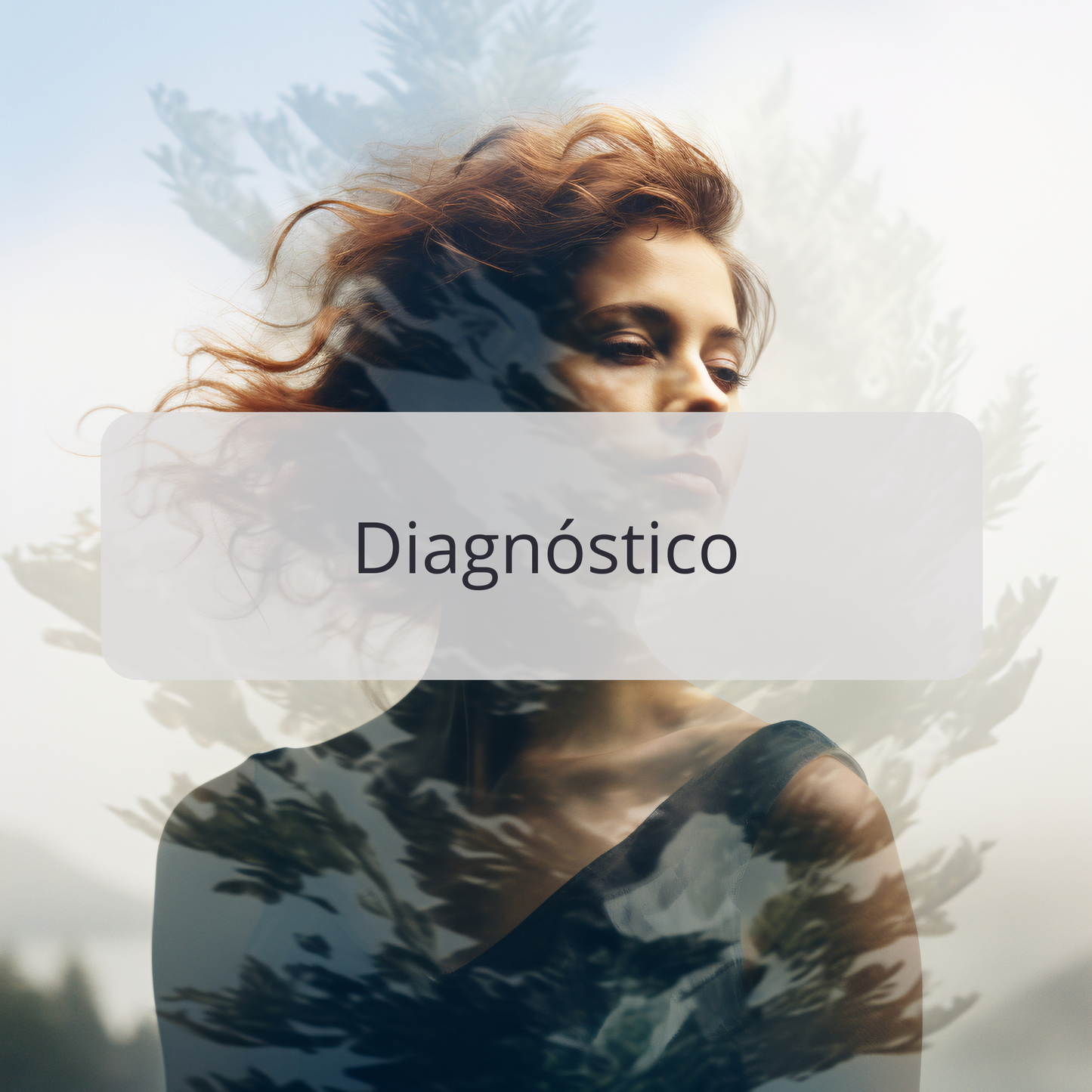 Mentoría 1:1 Diagnóstico