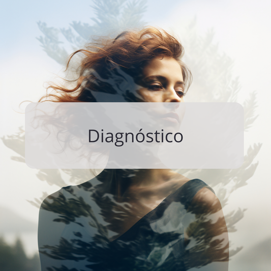 Mentoría 1:1 Diagnóstico