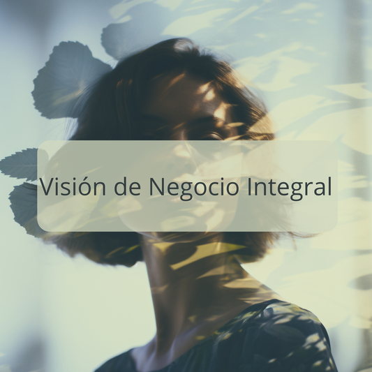 Curso Online - Visión de Negocio Integral