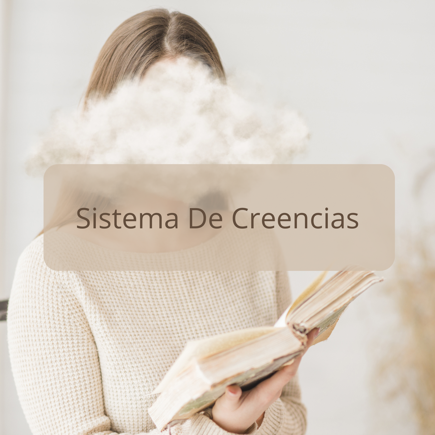 MentorÃa Grupal -Transforma Tu Sistema De Creencias