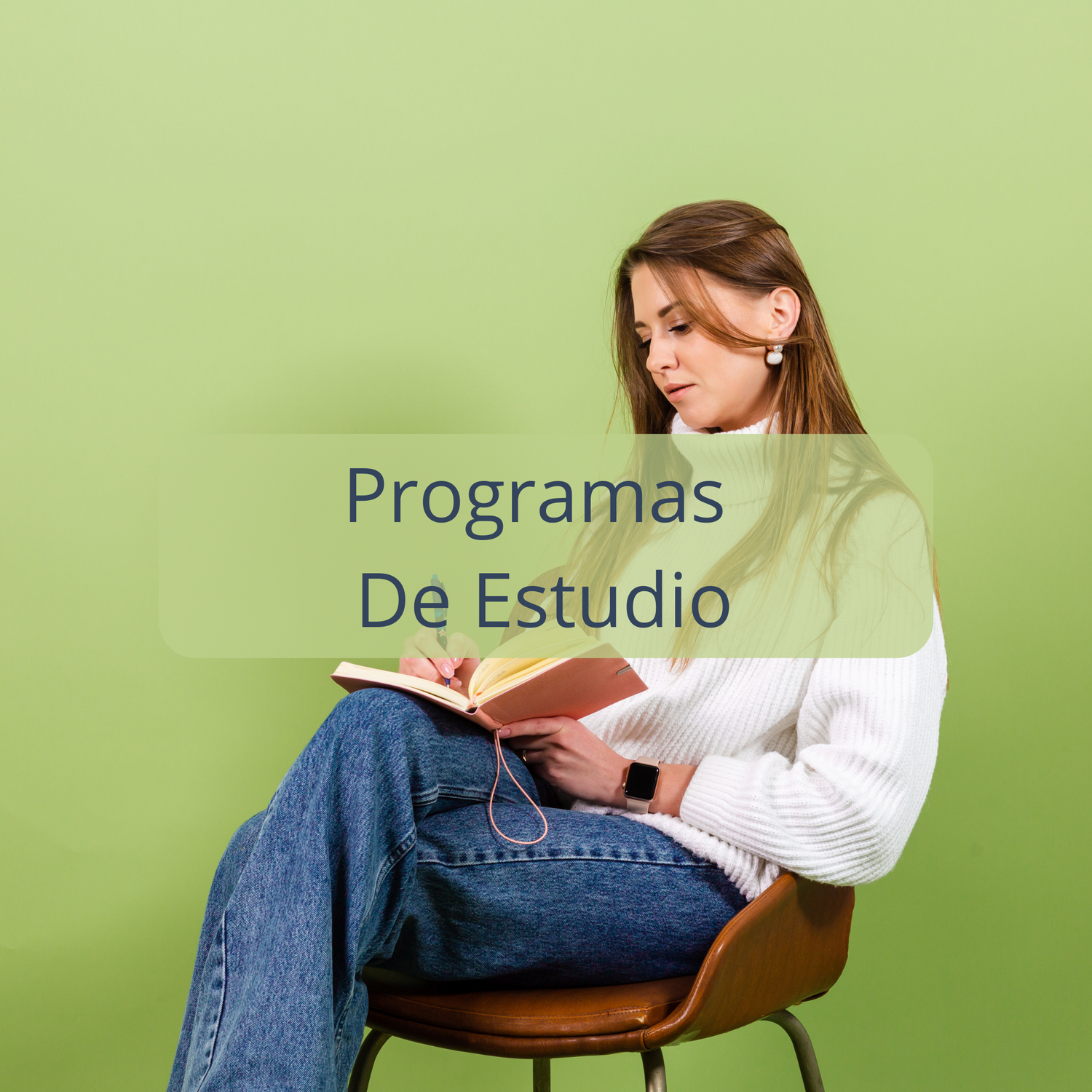 Programas de Estudio