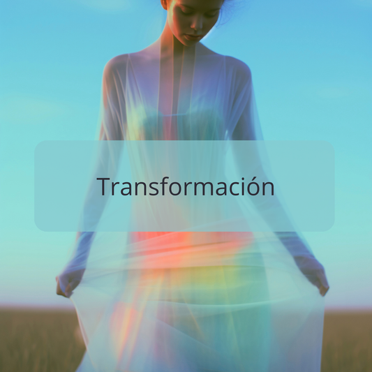 Mentoría 1:1 Transformación