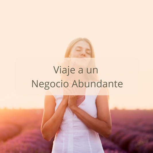 Programa Online - Viaje a un Negocio Abundante